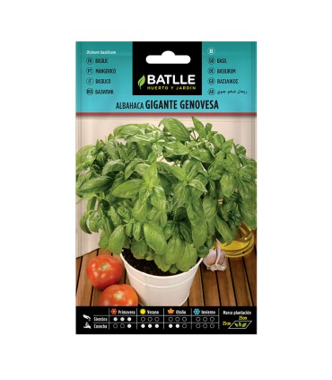 SEMILLAS ALBAHACA GIGANTE GENOVES 10 BOL
