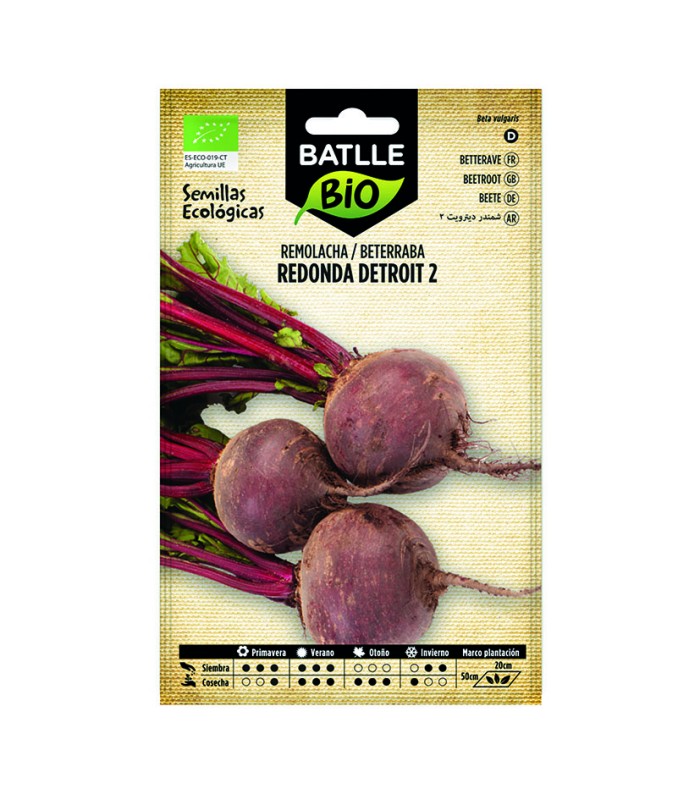 SEMILLAS REMOLACHA DETROIT - ECO 10 BOL