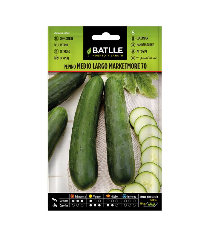 SEMILLAS PEPINO MARKETMORE 10 BOL