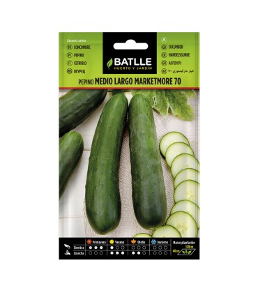 SEMILLAS PEPINO MARKETMORE 10 BOL