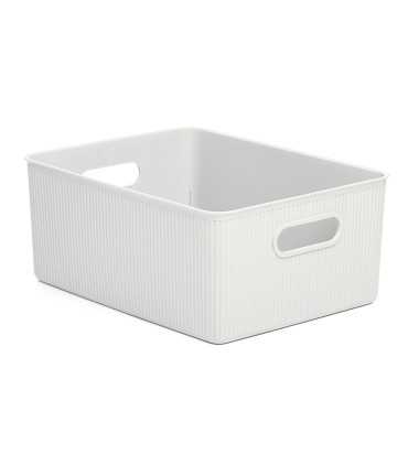 CESTA ORDENACION BAOBAB L. 15 L. TATAY