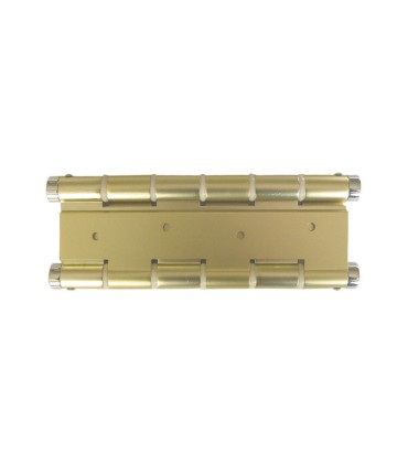 BISAGRA DOBLE ACCION. PLATEADO.