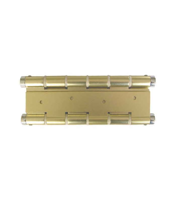 BISAGRA DOBLE ACCION. DORADO.