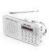 RADIO DIGITAL FM ELBE RF-49-USB