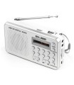 RADIO DIGITAL FM ELBE RF-49-USB