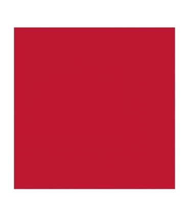 DISPLAY 12 PACKS 30 SERVILLETAS ROJO