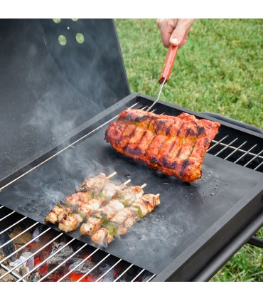 ESTERILLA PARA HORNO Y BARBACOA 2 UN.