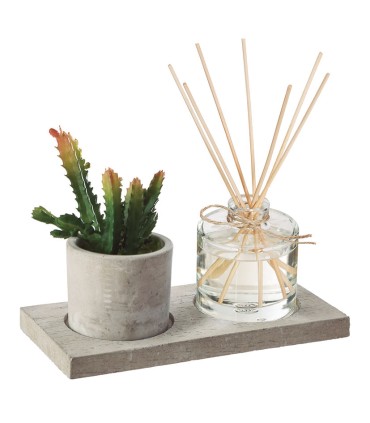 CAJA AROMAS + PLANTA 20X10 CM.