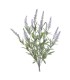 RAMO LAVANDA LILA