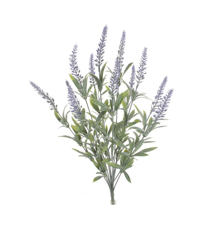 RAMO LAVANDA LILA