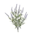 RAMO LAVANDA LILA