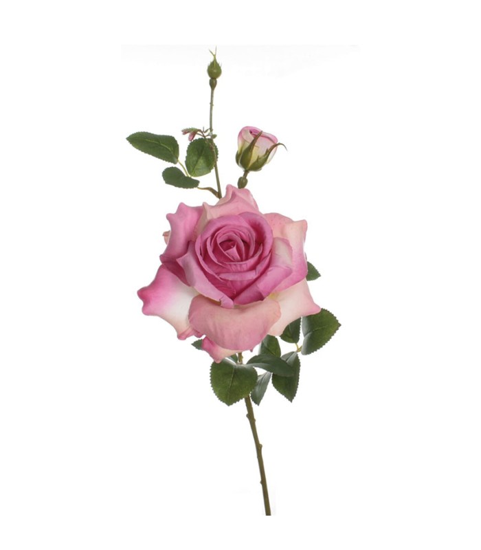 VARA ROSA ALICIA FUCSIA