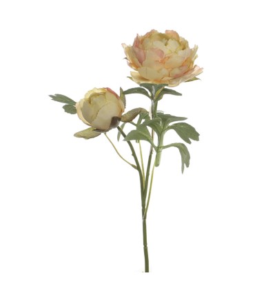 VARA RANUNCULO X 2 AMARILLO