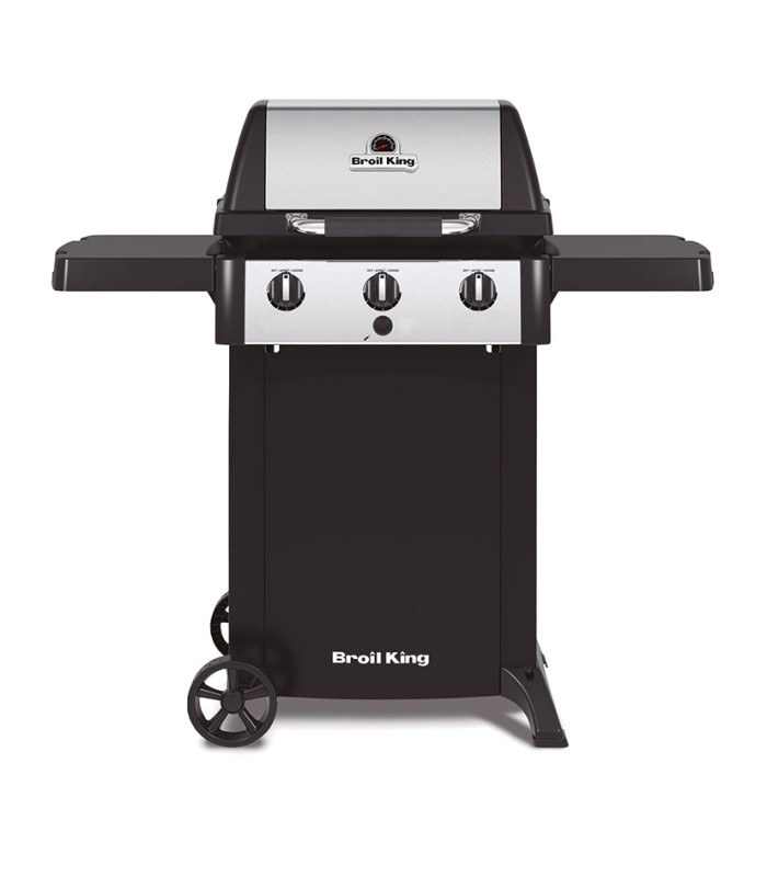 BARBACOA GEM 310+PLANCHA