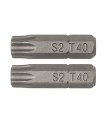 PUNTAS 25MM.TORX Nº.20 JGO.2 RATIO
