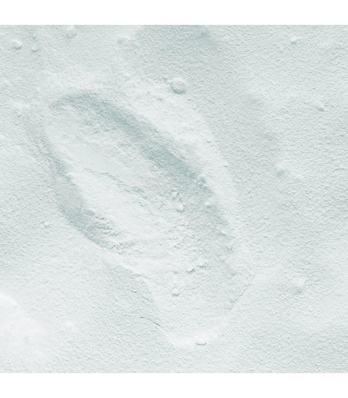 PIG. HORMIGÓN SC PIGMENTS BLANCO