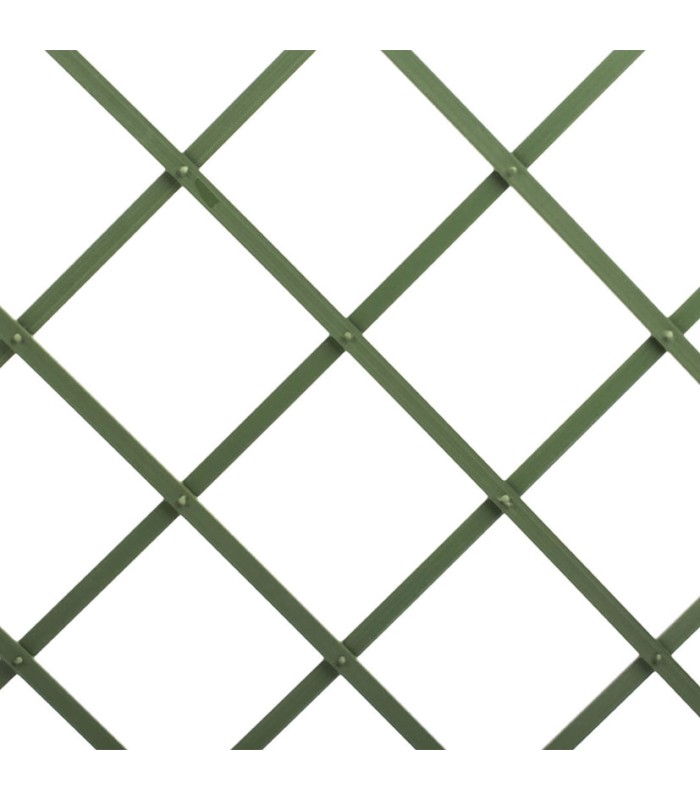 CELOSIA PLASTICA EXT. 2X1 VERDE