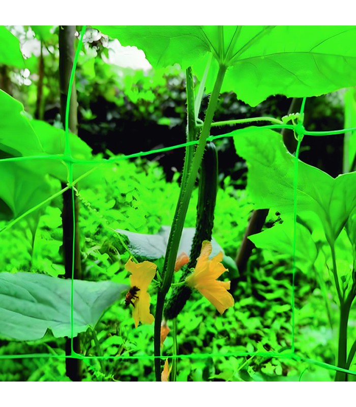 MALLA ENTUTORAR LISTA 2X10M VERDE