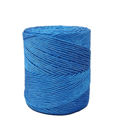 HILO RAFIA 600 MTS/KG AZUL EHS