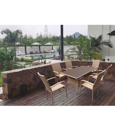 SILLA C/BRAZOS. ACERO/RATÁN.