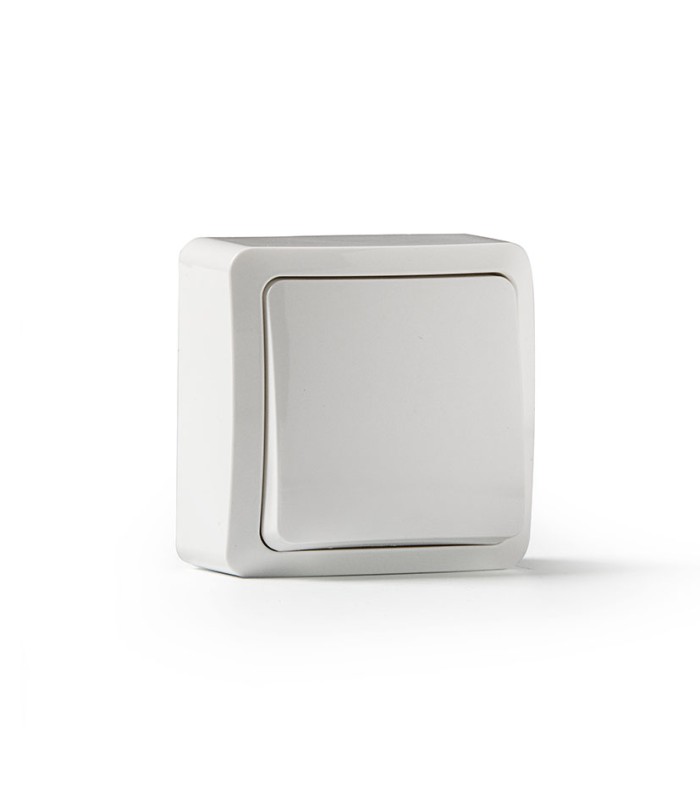 INTERRUPTOR SUPERFICIE 10A-250V