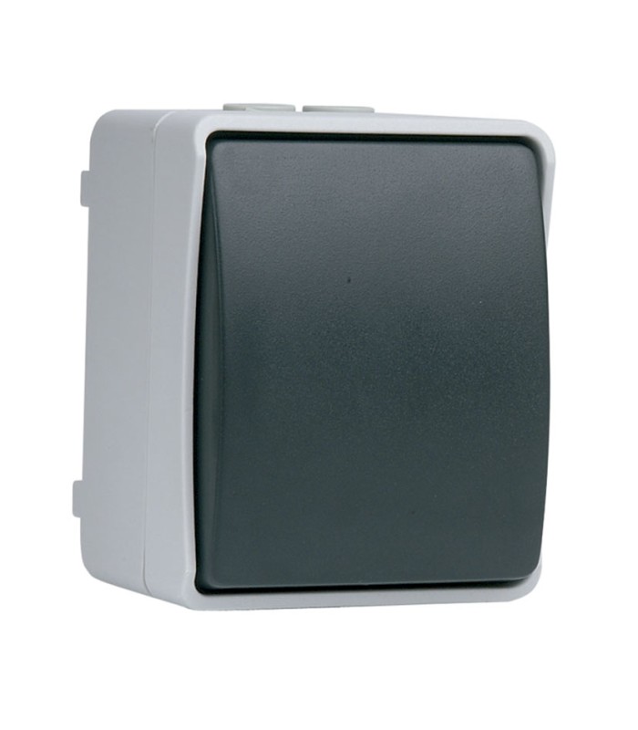 INTERRUPTOR / CONMUTADOR GRIS