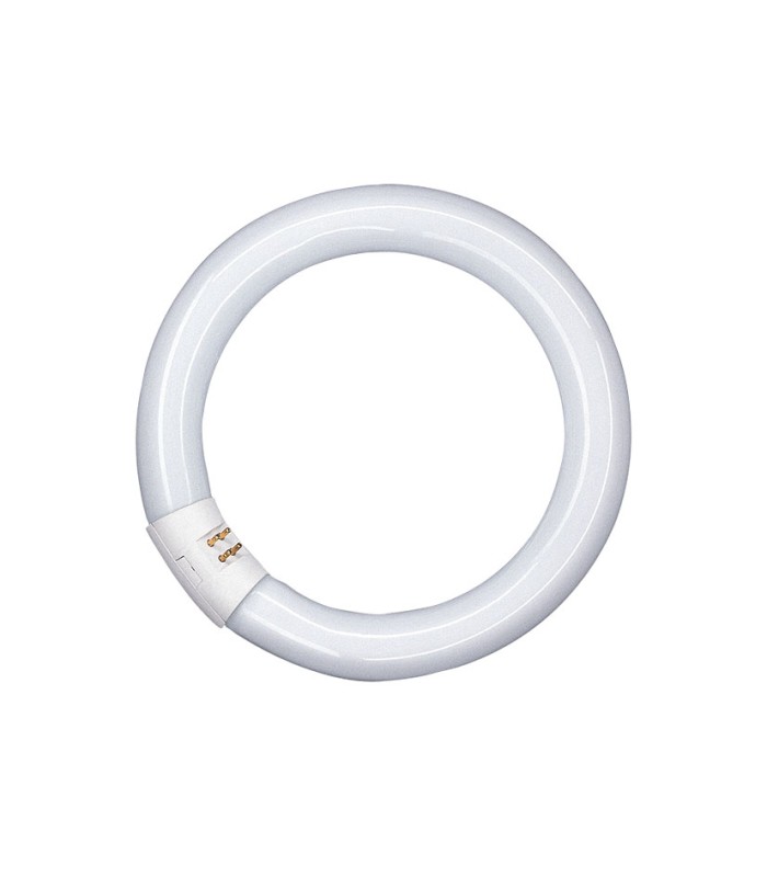 FLUORESCENTE CIRCULAR T9 22W/865 12 UNID