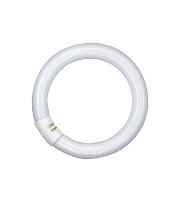 FLUORESCENTE CIRCULAR T9 22W/865 12 UNID