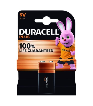 BL.1 PILA ALC.GAMA PLUS 9V 6F22