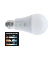 LAMP. STD. E27 10W 3CCT