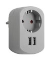 BASE ENCHUFE CON 2 TOMAS USB 2.1A GRIS