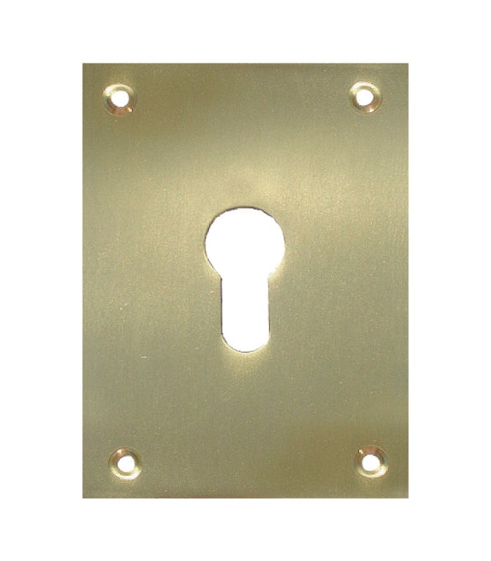 PLACA BOCALLAVE 2 UN. 100X70MM LAT.PULID