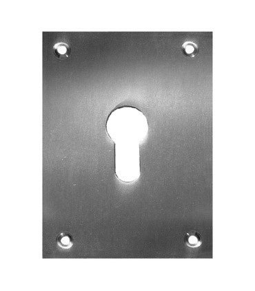 PLACA BOCALLAVE 2 UN. 100X70MM NIQ.SATIN