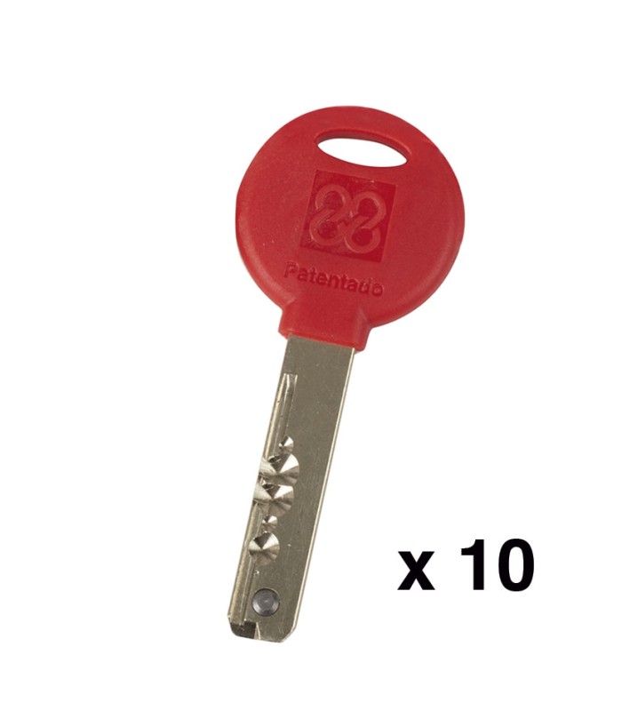 10 LLAVES EN  BRUTO CILINDRO MPRO C88.