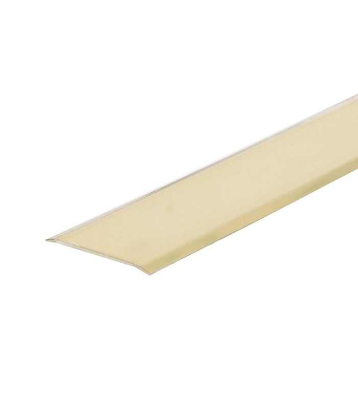 PLETINA 2 PEST. ADHES.40 MM LATONADA.EHL