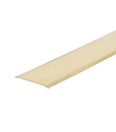 PLETINA 2 PEST. ADHES.40 MM LATONADA.EHL