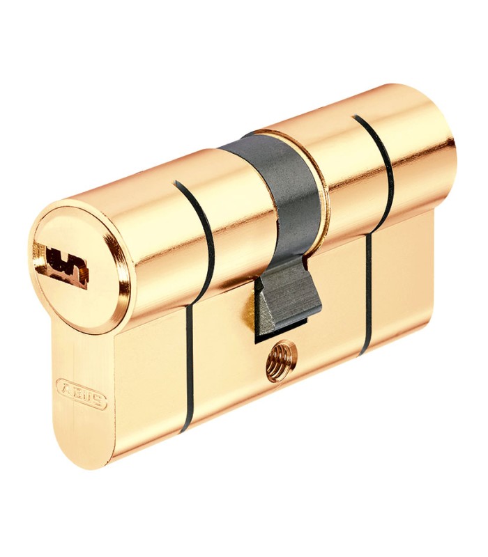 CILINDRO SEGURIDAD D6PS  30x50 LATON