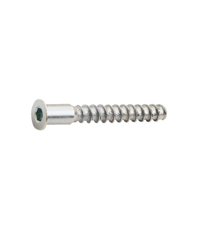 TORNILLO ENSAMBLAR 5X50mm PAV. 6U.EHS